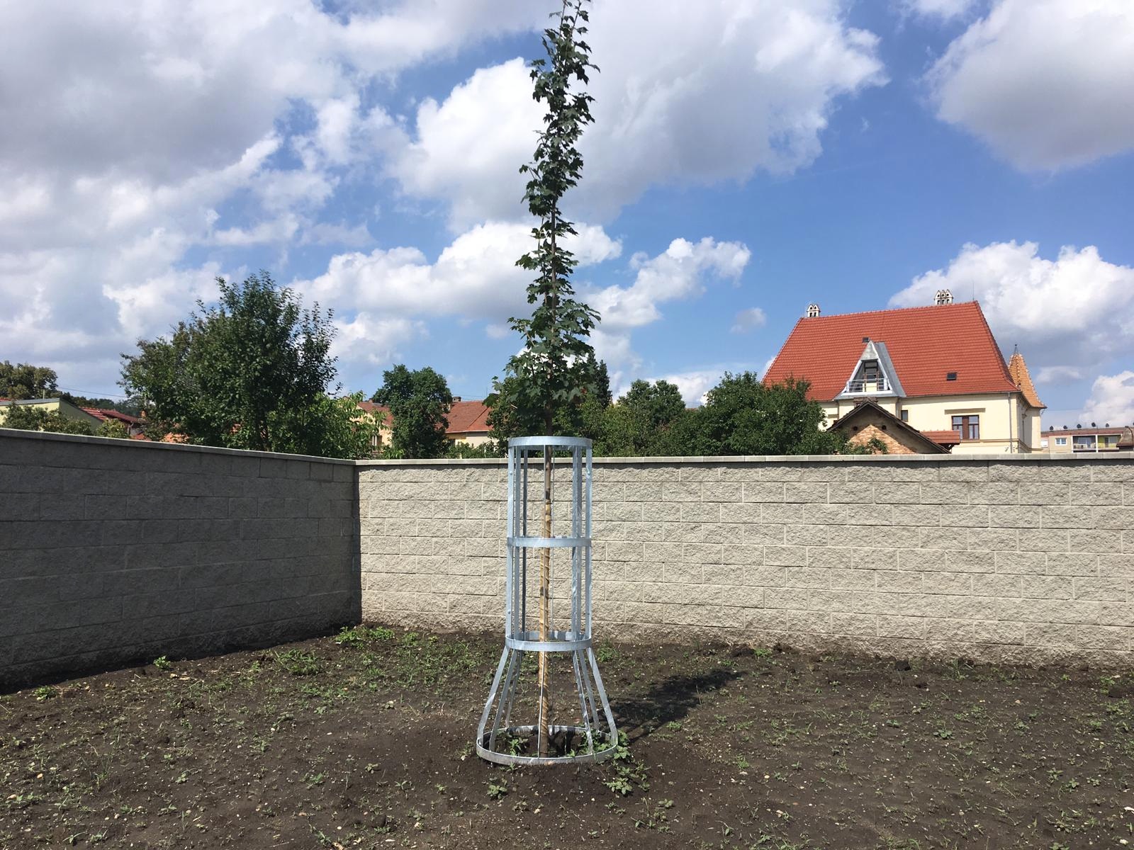 Lidl Bučovice