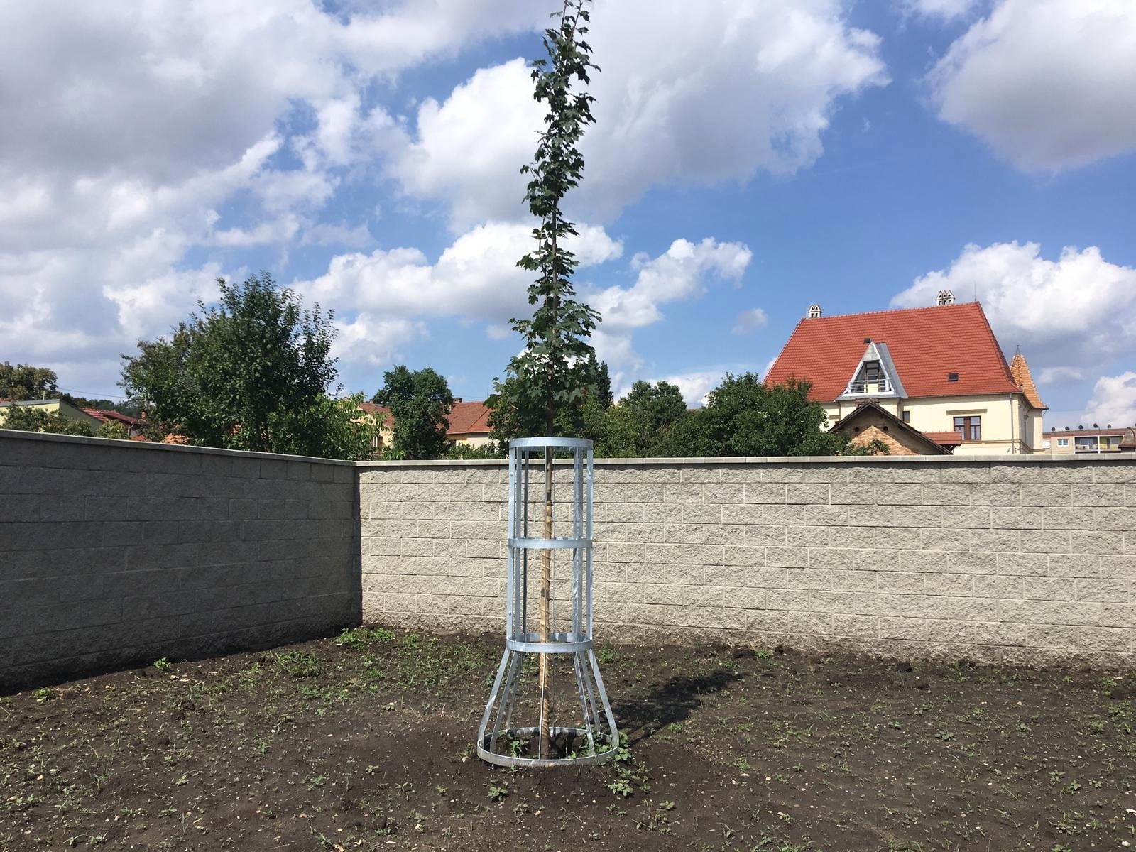 Lidl Bučovice